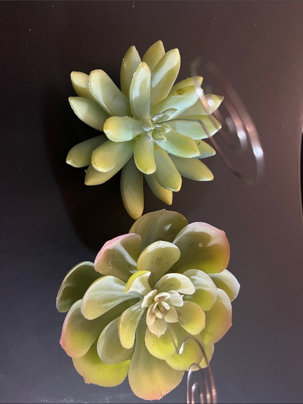 Artificial Succulent Photo/Note Holder - Green 545